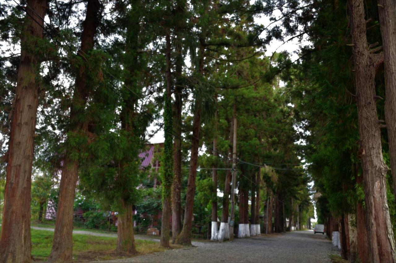 Maka Bed and Breakfast Ureki Exterior foto
